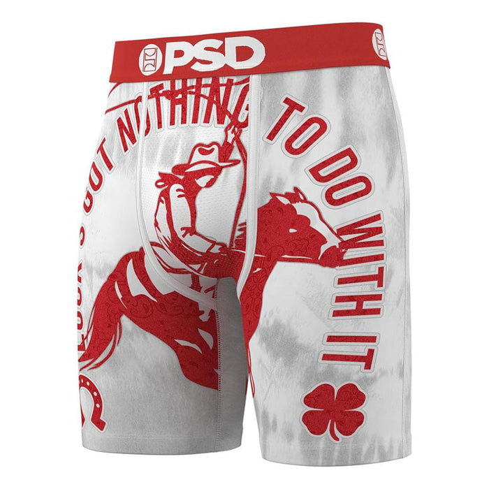 PSD Men's Multicolor Down On Luck Boxer Briefs Large Underwear - 325180060-MUL-L