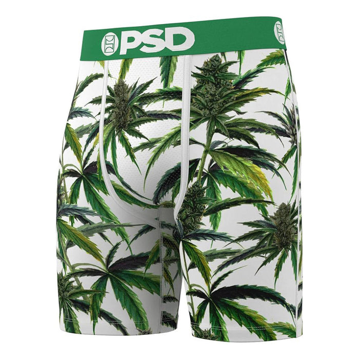 PSD Men's Multicolor Buds & Bloom Boxer Briefs Extra Large Underwear - 425180091-MUL-XL