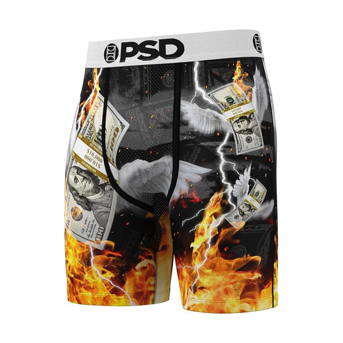 PSD Men's Multicolor Fly Money Boxer Briefs Large Underwear - 424180048-MUL-L