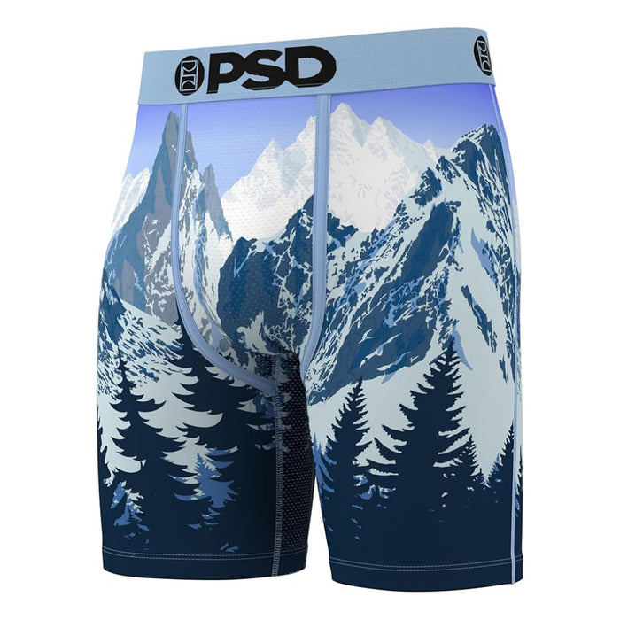 PSD Men's Multicolor Alpine Chill Boxer Briefs Large Underwear - 425180102-MUL-L