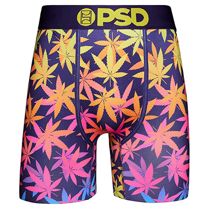 PSD Men's Multicolor High Places Boxer Briefs Small Underwear - 123180137-MUL-S