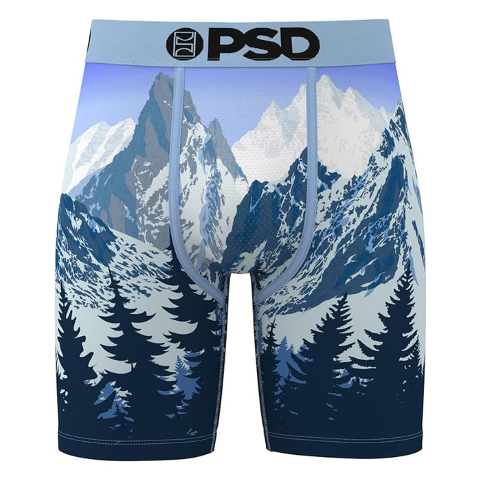 PSD Men's Multicolor Alpine Chill Boxer Briefs Large Underwear - 425180102-MUL-L