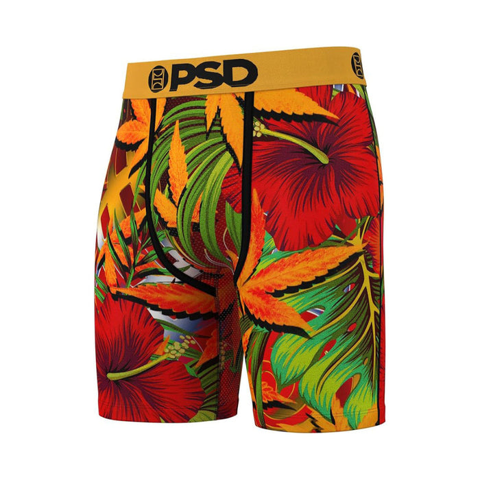PSD Men's Multicolor Lava Flow Boxer Briefs Large Underwear - 324180057-MUL-L