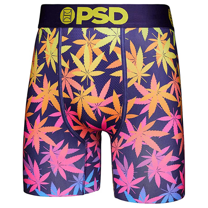 PSD Men's Multicolor High Places Boxer Briefs Small Underwear - 123180137-MUL-S