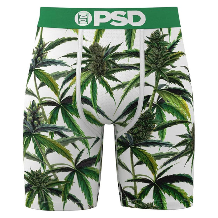 PSD Men's Multicolor Buds & Bloom Boxer Briefs Extra Large Underwear - 425180091-MUL-XL