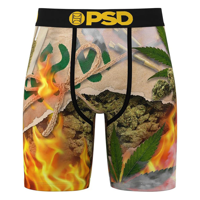 PSD Men's Multicolor Burn Em Up Boxer Briefs Large Underwear - 125180100-MUL-L