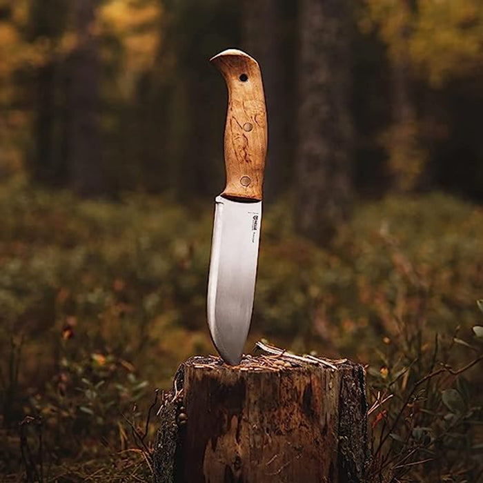 HELLE Curly Birch Wood Handle Stainless Steel Blade Drop Point Fixed  Knife - HELLE670