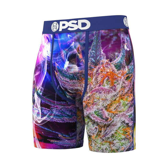 PSD Men's Multicolor Prism Strain Boxer Briefs Large Underwear - 324180071-MUL-L