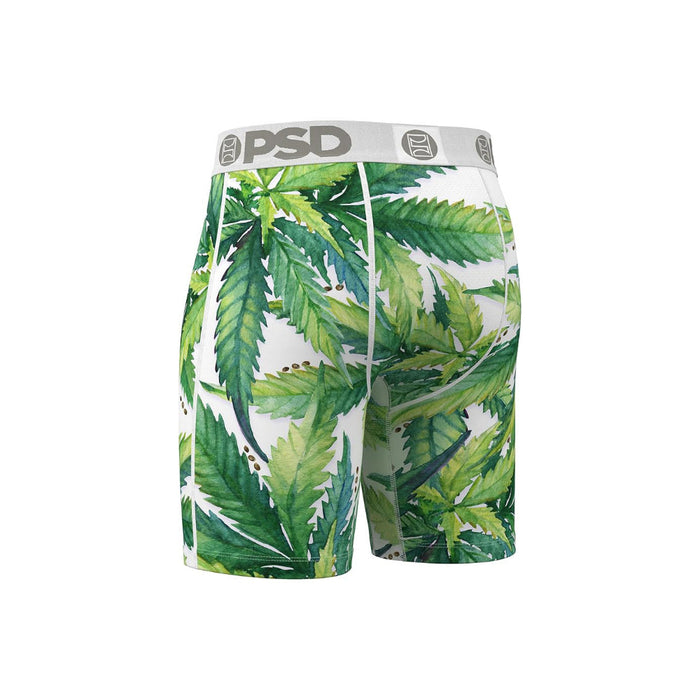 PSD Men's Multicolor Recreational Print Boxer Briefs Medium Underwear - 424180092-MUL-M