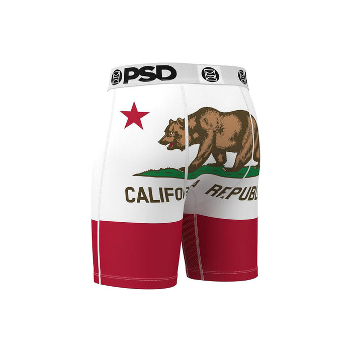 PSD Men's Multicolor California Boxer Briefs Extra Large Underwear - 424180100-MUL-XL