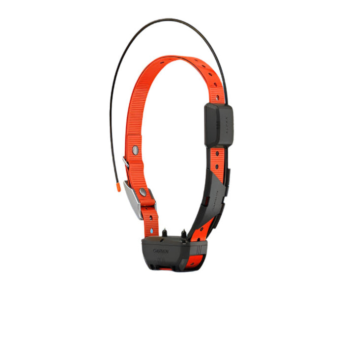 Garmin Alpha TT 25 GPS Dog Tracking and Training Collar - 010-02447-20