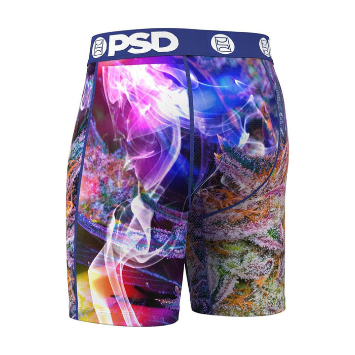 PSD Men's Multicolor Prism Strain Boxer Briefs Large Underwear - 324180071-MUL-L