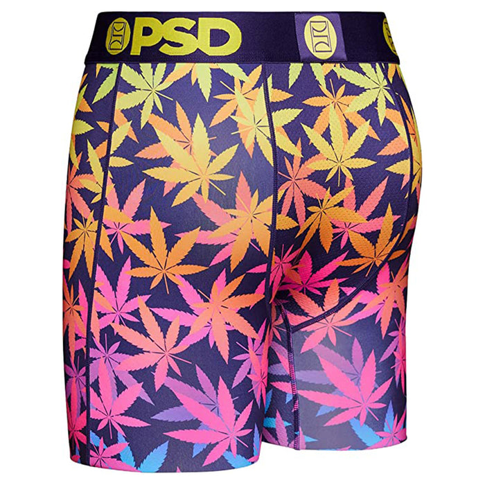 PSD Men's Multicolor High Places Boxer Briefs Small Underwear - 123180137-MUL-S