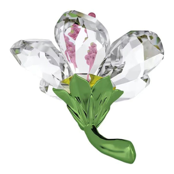 Swarovski Unisex White Glass Small Florere Hibiscus Figurine - 5690534