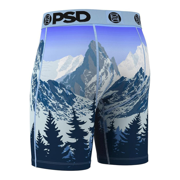 PSD Men's Multicolor Alpine Chill Boxer Briefs Large Underwear - 425180102-MUL-L