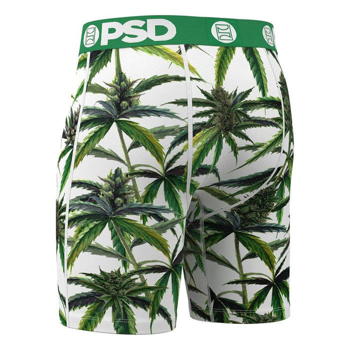 PSD Men's Multicolor Buds & Bloom Boxer Briefs Extra Large Underwear - 425180091-MUL-XL