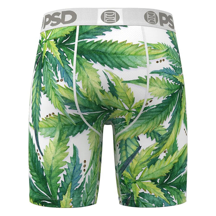 PSD Men's Multicolor Recreational Print Boxer Briefs Medium Underwear - 424180092-MUL-M