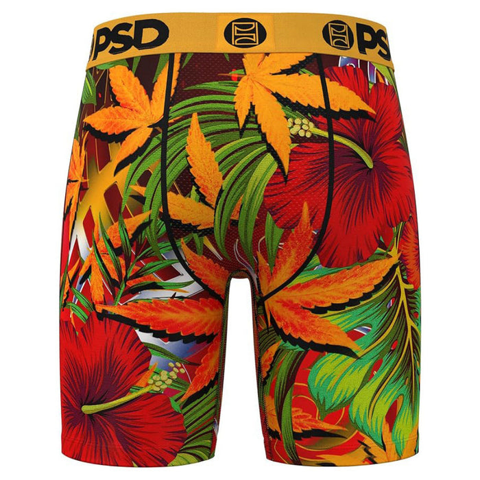PSD Men's Multicolor Lava Flow Boxer Briefs Large Underwear - 324180057-MUL-L