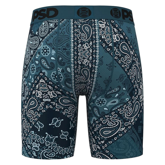 PSD Men's Multicolor Paisley Maze Boxer Briefs Medium Underwear - 324180080-MUL-M