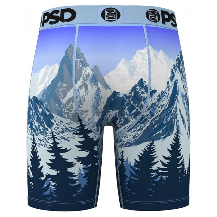 PSD Men's Multicolor Alpine Chill Boxer Briefs Large Underwear - 425180102-MUL-L