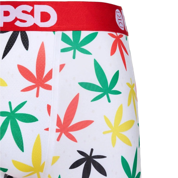 PSD Men's Multicolor Rasta Boxer Briefs Underwear - 124180034-MUL