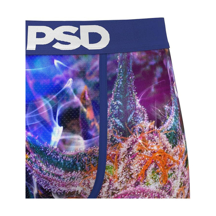 PSD Men's Multicolor Prism Strain Boxer Briefs Medium Underwear - 324180071-MUL-M