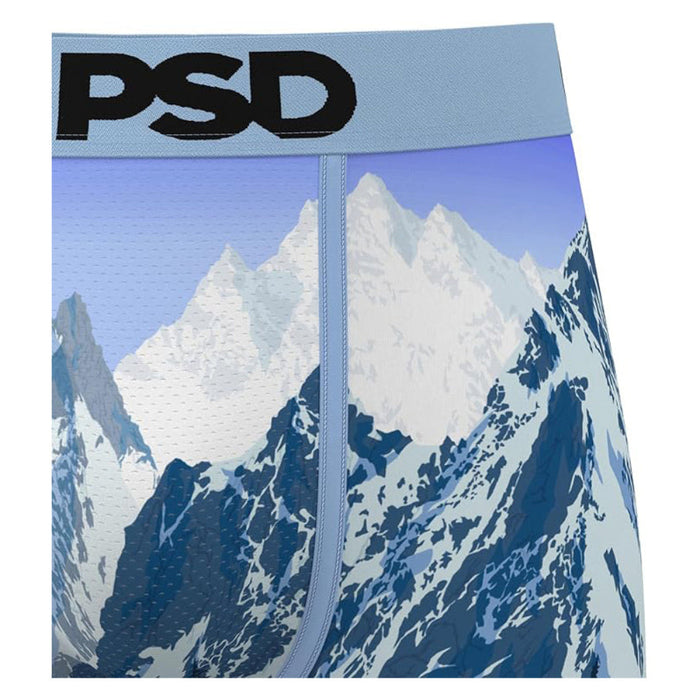 PSD Men's Multicolor Alpine Chill Boxer Briefs Large Underwear - 425180102-MUL-L