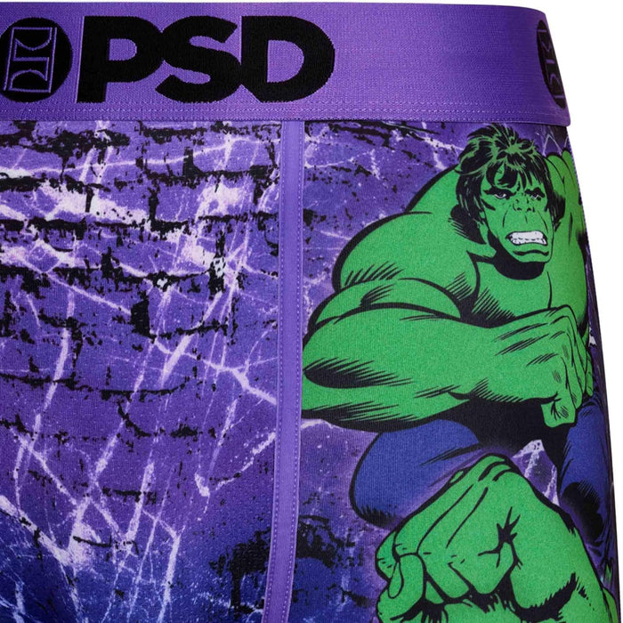 PSD Men's Multicolor Hulk Boxer Briefs Large Underwear - 423180198-MUL-L