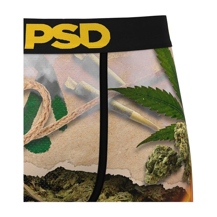 PSD Men's Multicolor Burn Em Up Boxer Briefs Large Underwear - 125180100-MUL-L