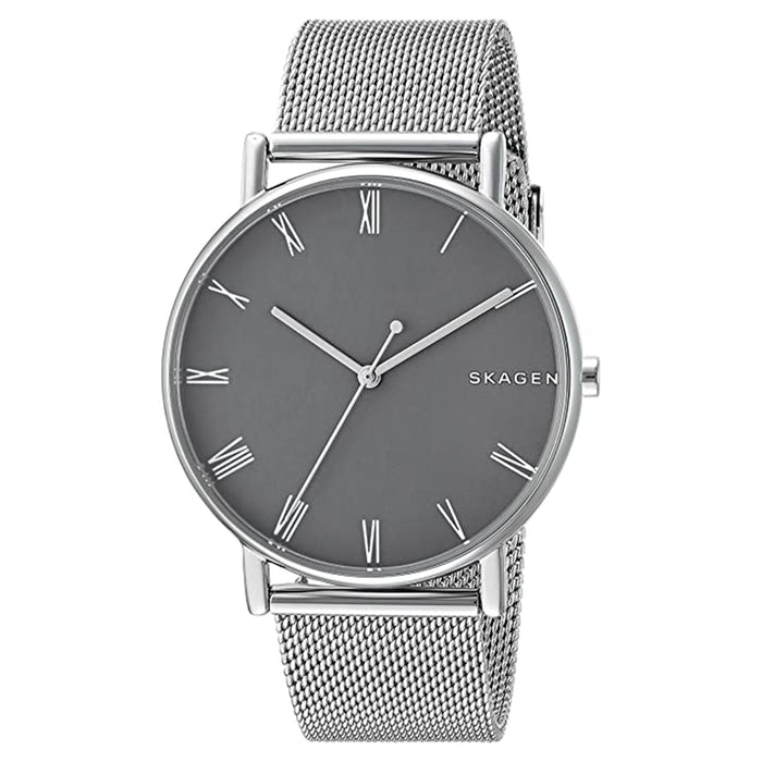 Skagen Mens Gray Dial Silver Stainless steel Band Mesh Watch - SKW6428
