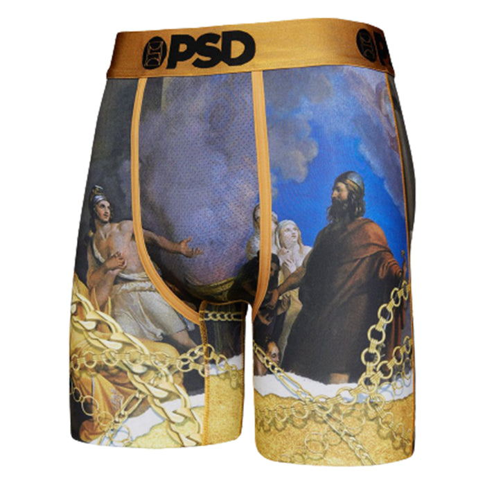 PSD Men's Multicolor Renaissance Boxer Briefs Underwear - 321180101-MUL