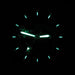 Bertucci A-2TR Vintage Men's Olive Titanium Nylon Watches | WatchCo.com